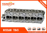 Engine Cylinder Head  NISSAN TB45  11041-VC000  Gasoline  12V
