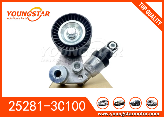 25281-3C100 25281-3C600  For Hyundai Palisade 20-22 Santa Fe 07-19