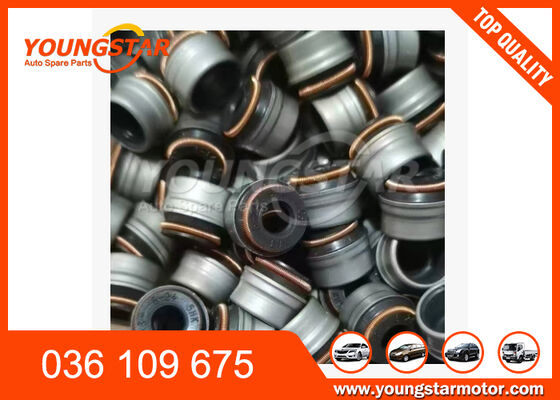 Valve Stem Seal Engine Seal for V.W 1.8T ANQ with Rubber Material and 60000 Kms Guarantee
