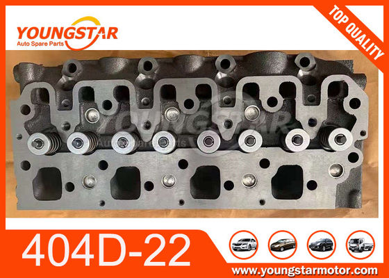 Perkins 404-D22 Complete Cylinder Head Assy 111011030